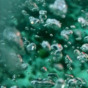 Meet your Posher, Dasha